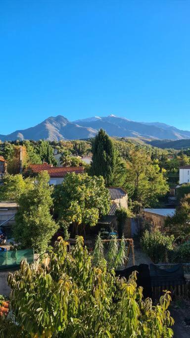 Le Cocon En Coeur De Ville Prades  Exteriör bild